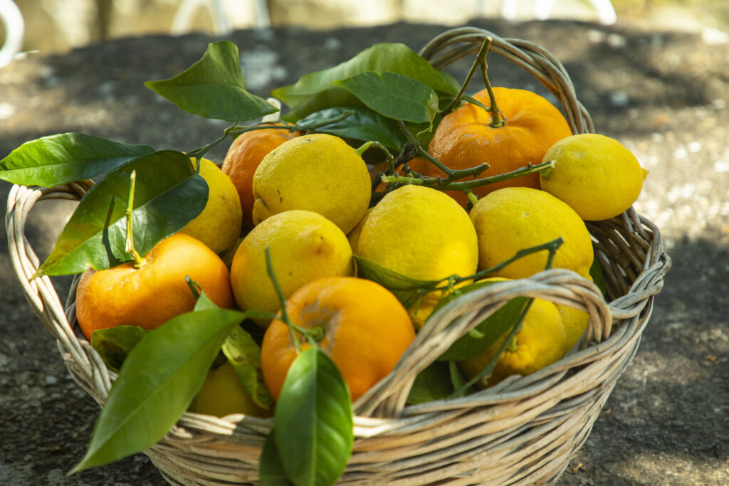 Affitto appartamenti di charme Forio d'Ischia